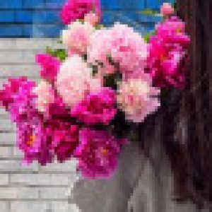 Profile picture of Raana