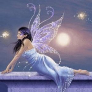 Profile picture of Fairy Queen
