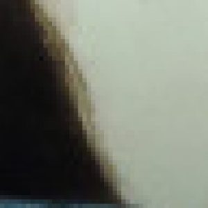 Profile picture of ManasaMadapathi