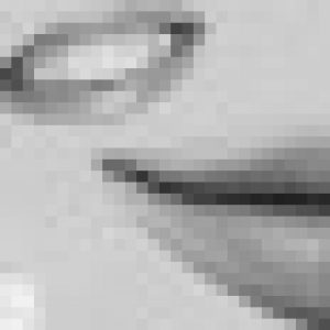 Profile picture of Matt