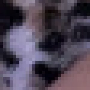 Profile picture of Tut