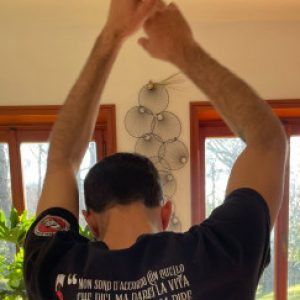 Profile picture of Albero