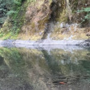 Profile picture of Charies