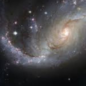 Profile picture of Marcus