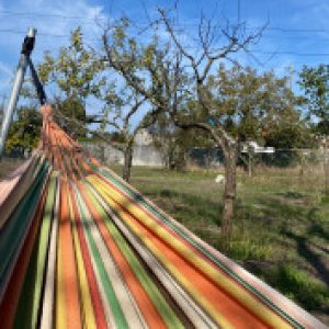 Profile picture of Lisa