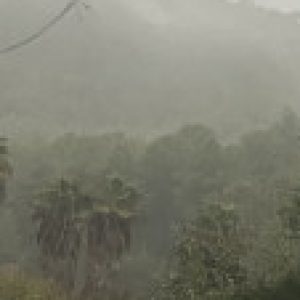 Profile picture of Juliadzia