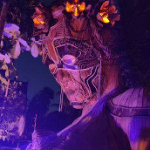 Group logo of Self Liberation